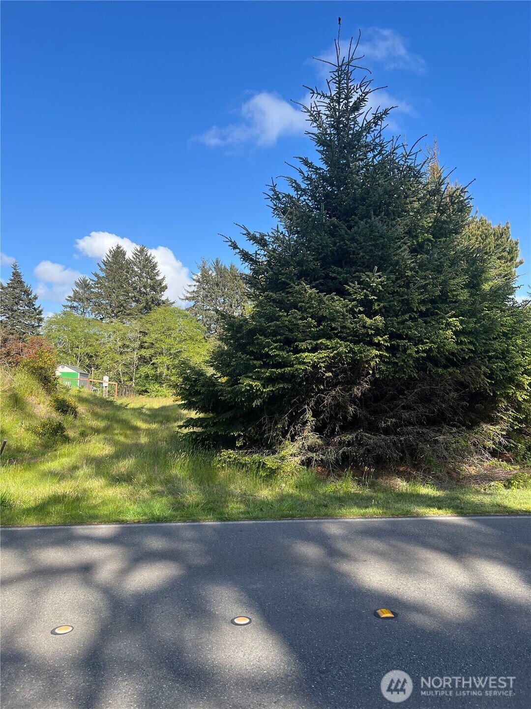 Property Photo:  212  Dolphin Avenue NE  WA 98569 