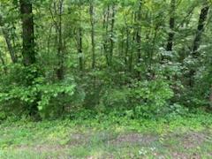 Property Photo: 356 Highway 68 W TN 37322