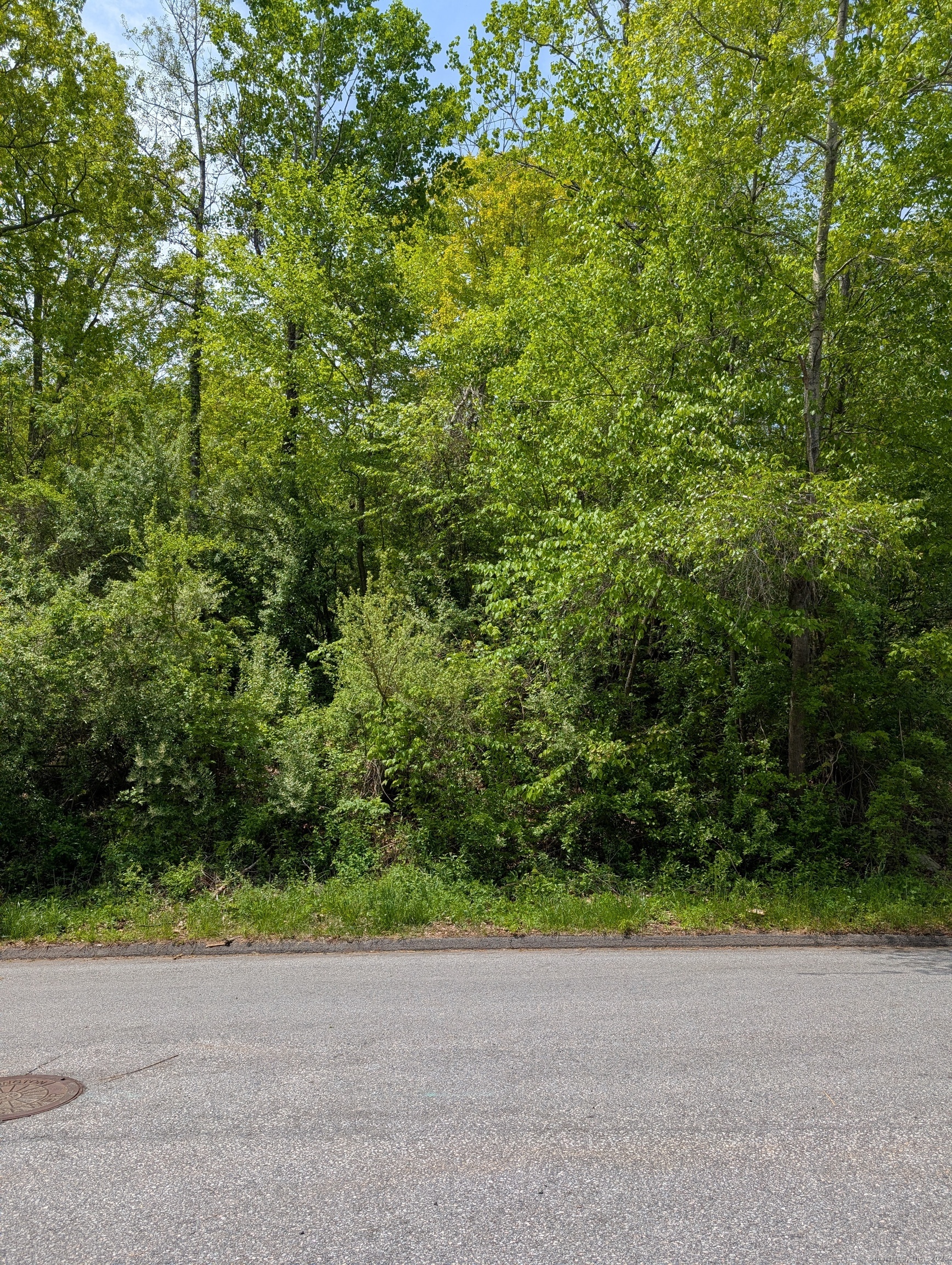 Property Photo: 229 Wimbledon Gate North CT 06790