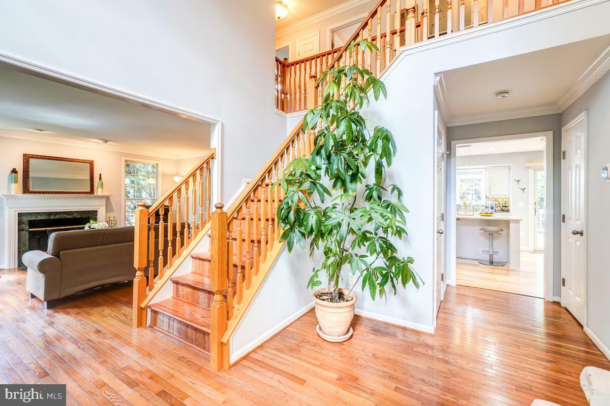 Property Photo:  20662 Ashleaf Court  VA 20165 
