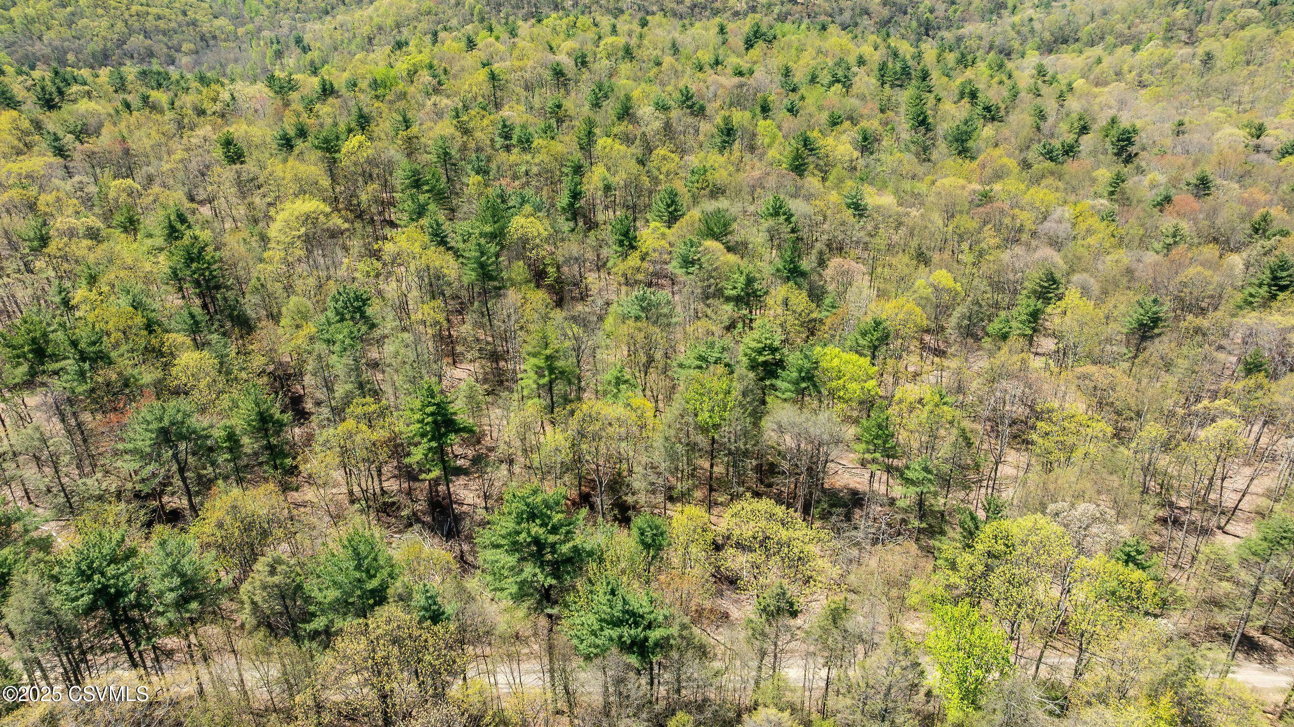 Property Photo: Lot 3 Patton Hill Road PA 17846