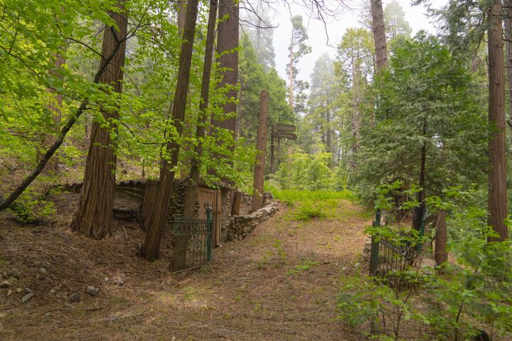 710 Blue Jay Canyon Road  Lake Arrowhead CA 92317 photo