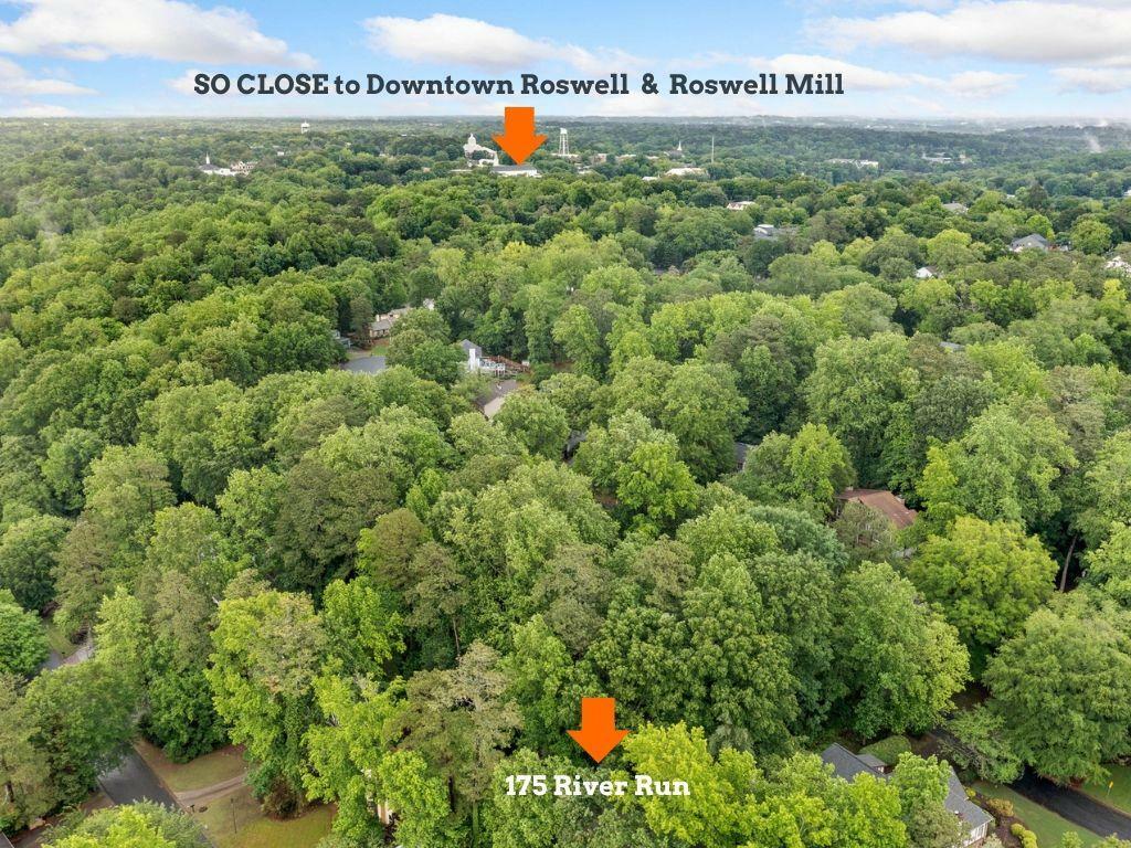 Property Photo: 175 River Run GA 30075
