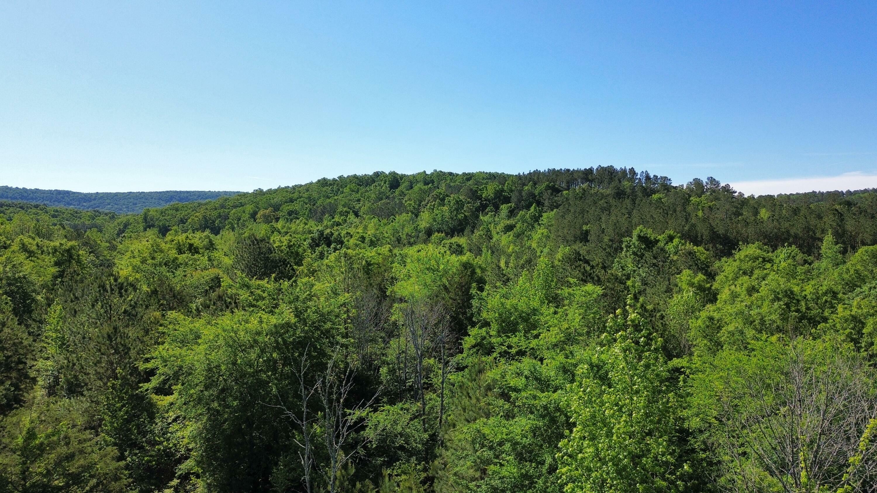 Property Photo: 0 East Armuchee GA 30728