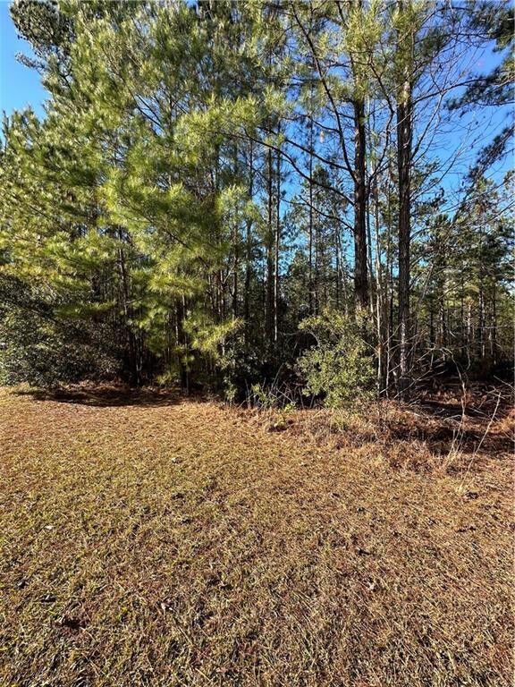 Property Photo:  0 Big Horse Drive  GA 31566 