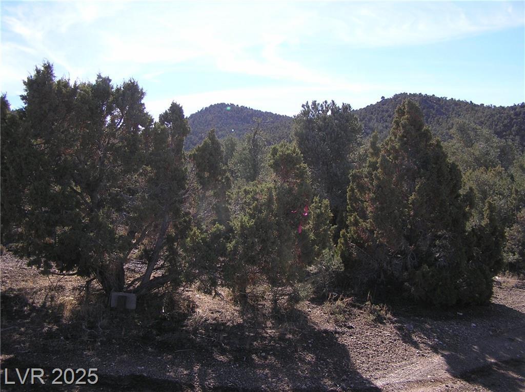Property Photo: Unknown NV 89301