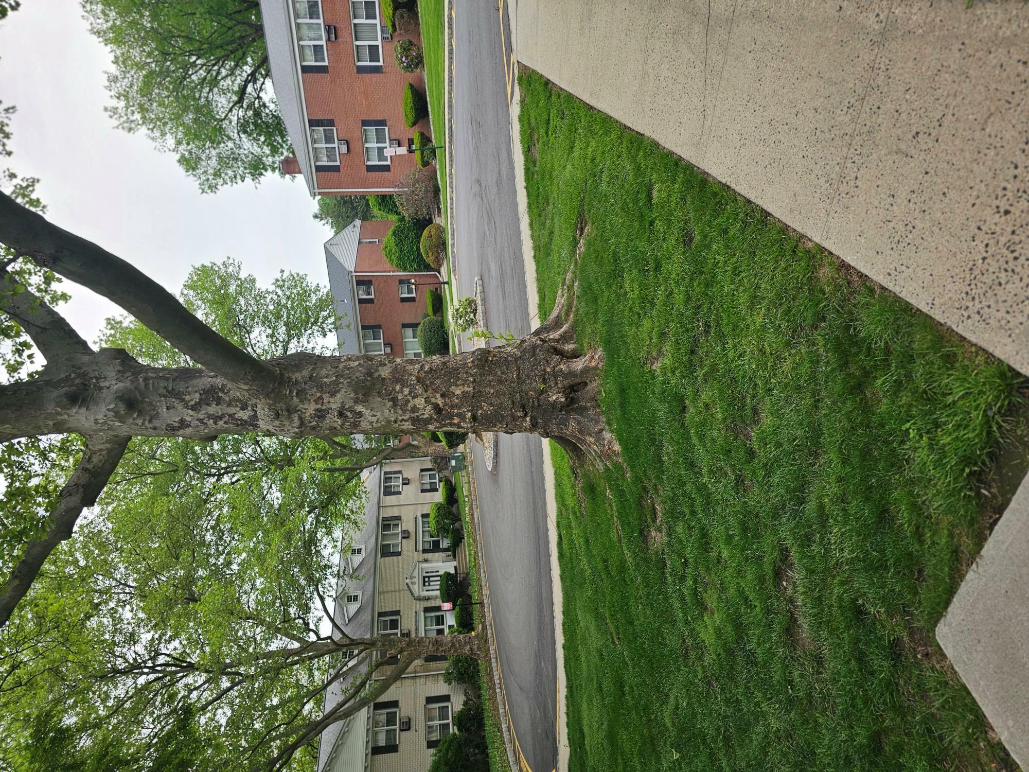 Property Photo:  5 Oxford Court 7815  NY 10901 