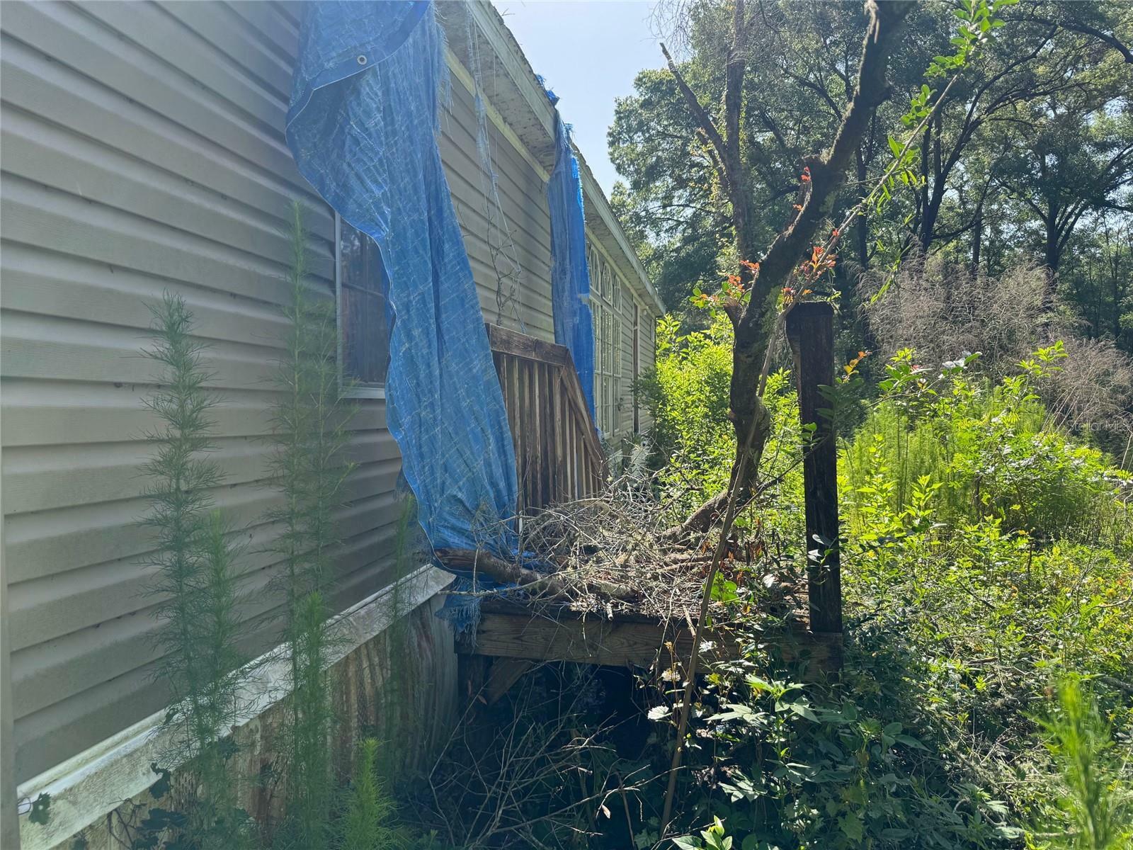 Property Photo: 10620 SW 152nd Place FL 34432