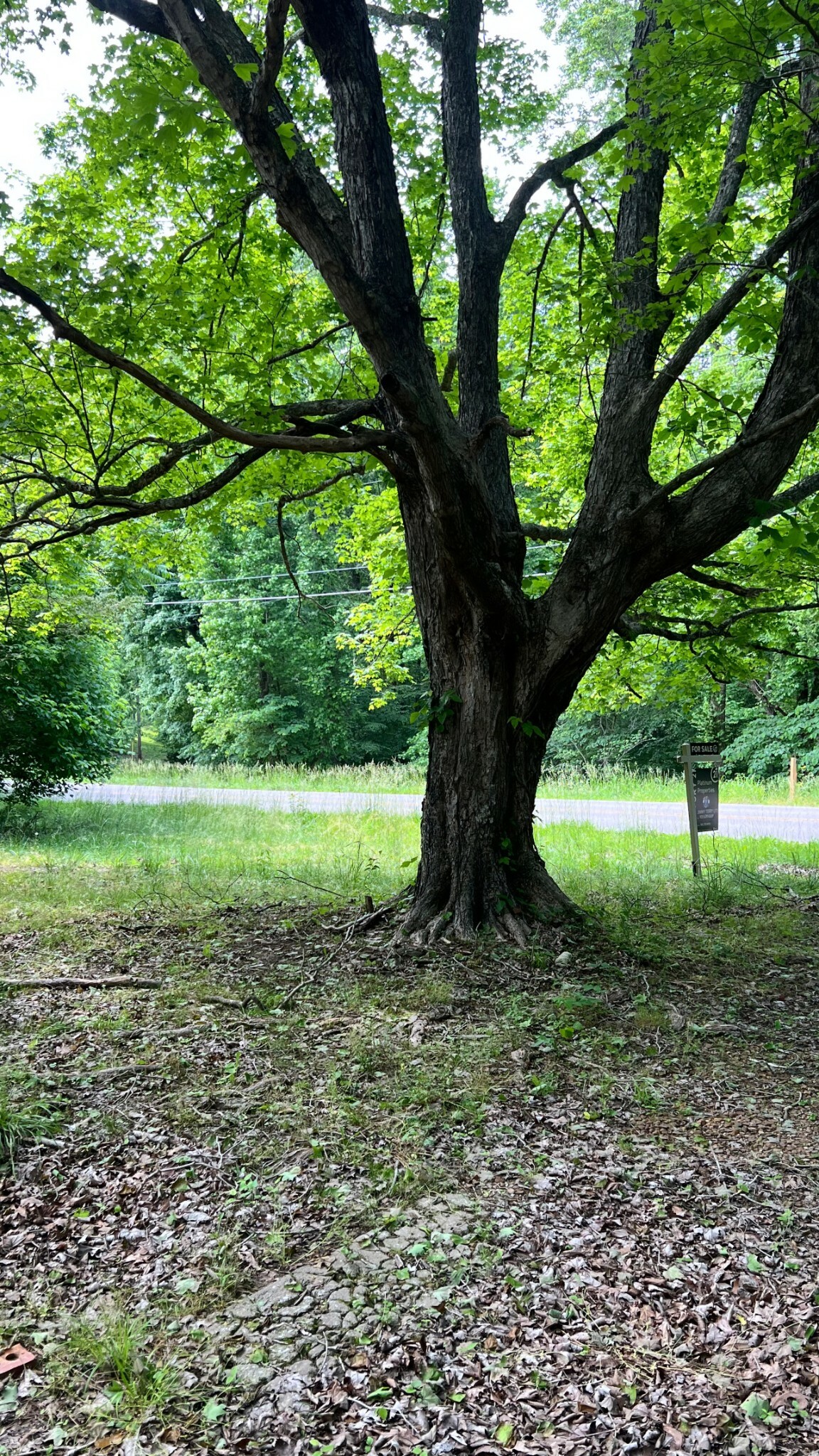 Property Photo: 1551 Cumberland Heights Rd TN 37040