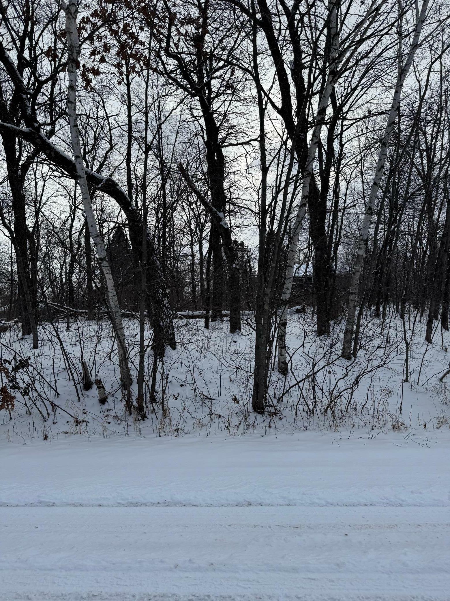 Property Photo: Xxxx 241st Avenue NE MN 55079