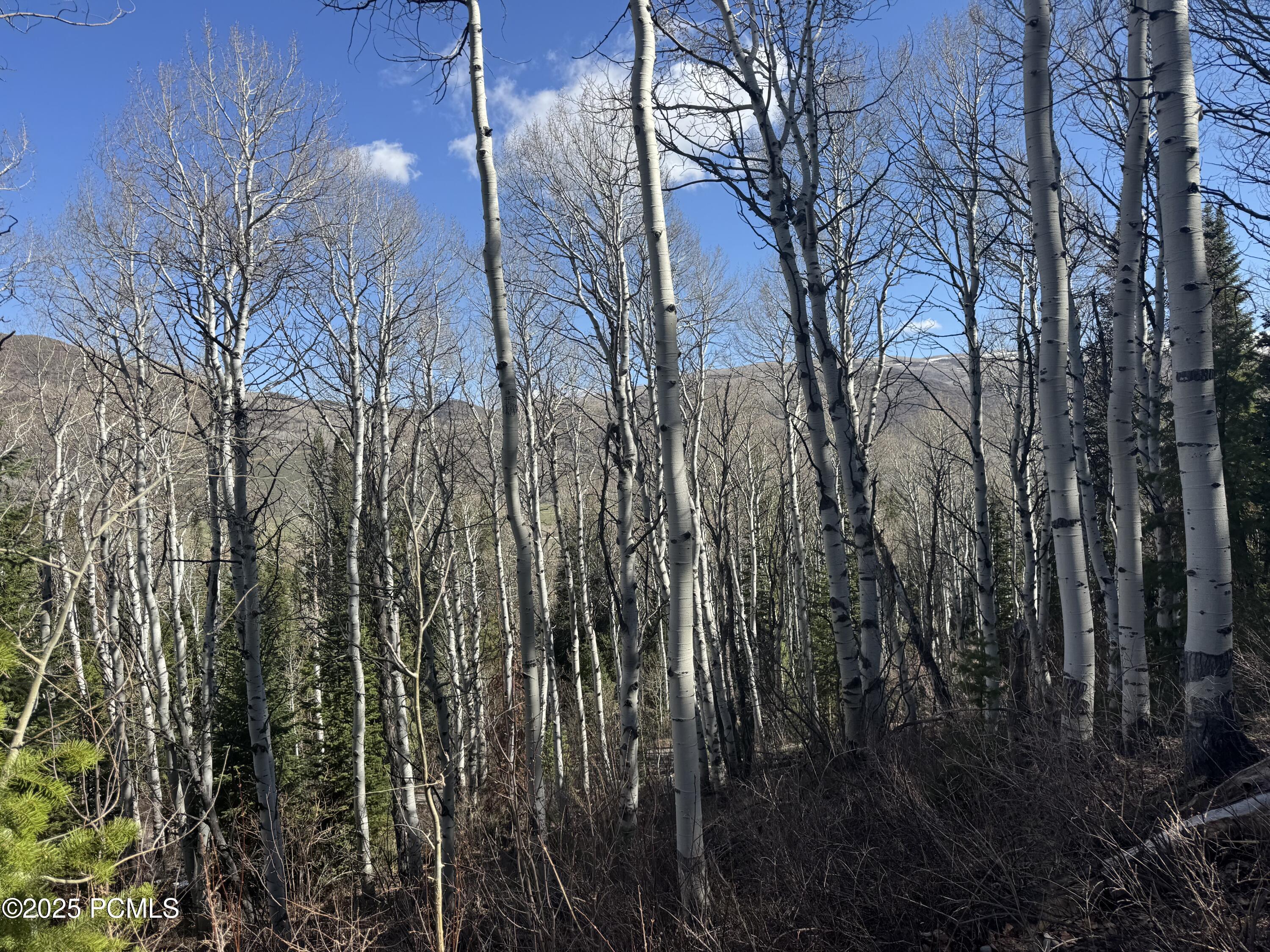 Property Photo:  663 Red Fir Way  UT 84055 