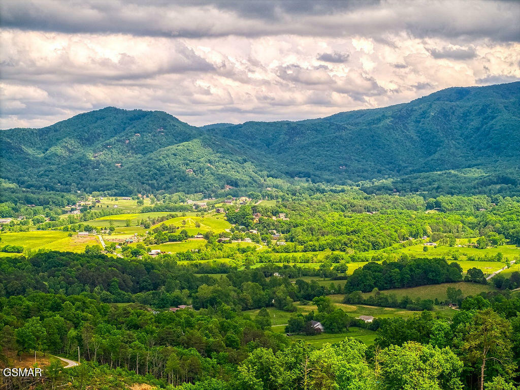 Property Photo: 1856 Natures Lane TN 37862