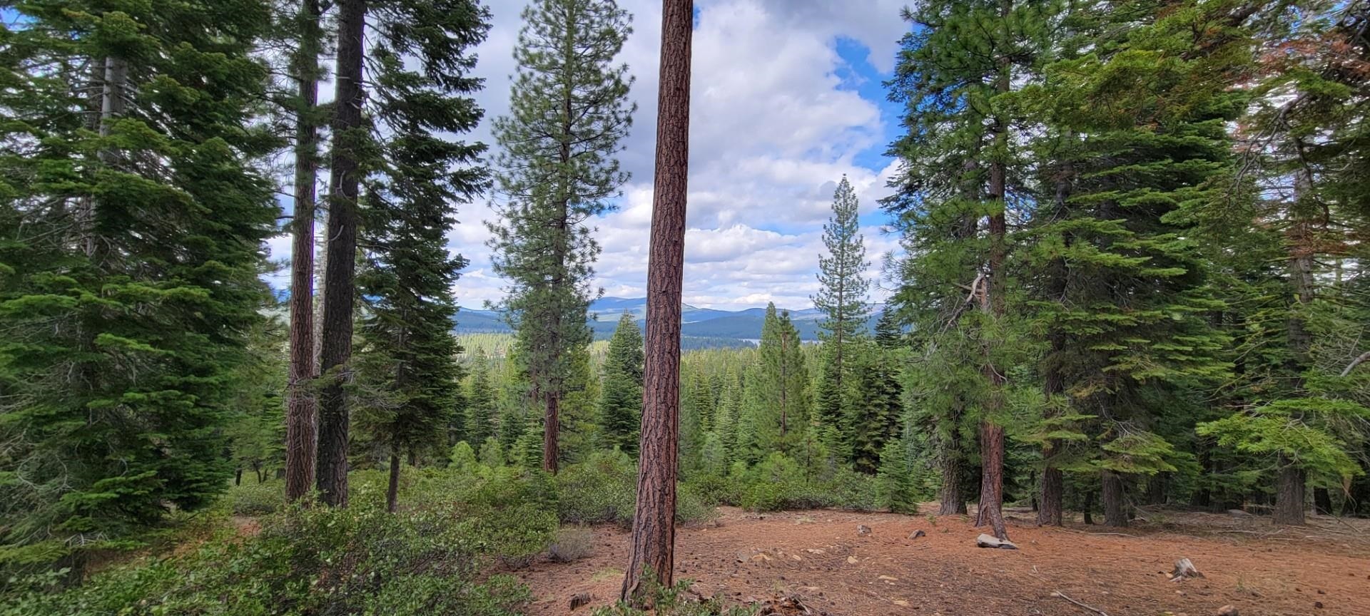 12431 Stony Ridge Court  Truckee CA 96161 photo