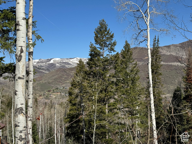 Property Photo: 661 Red Fir Way 661 UT 84055