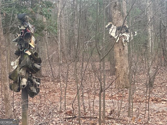 Property Photo:  38 &Amp51 Mountain Crest Road  GA 30534