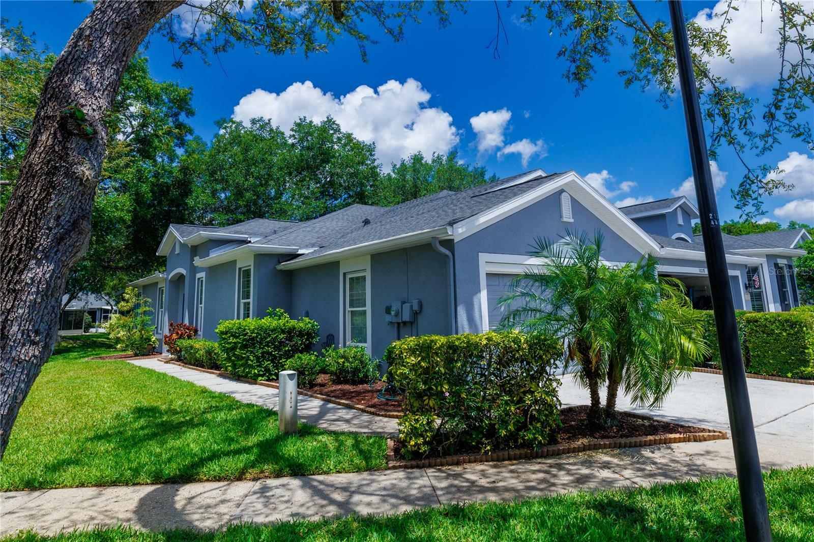 Property Photo:  10716 Ashford Oaks Drive  FL 33625 
