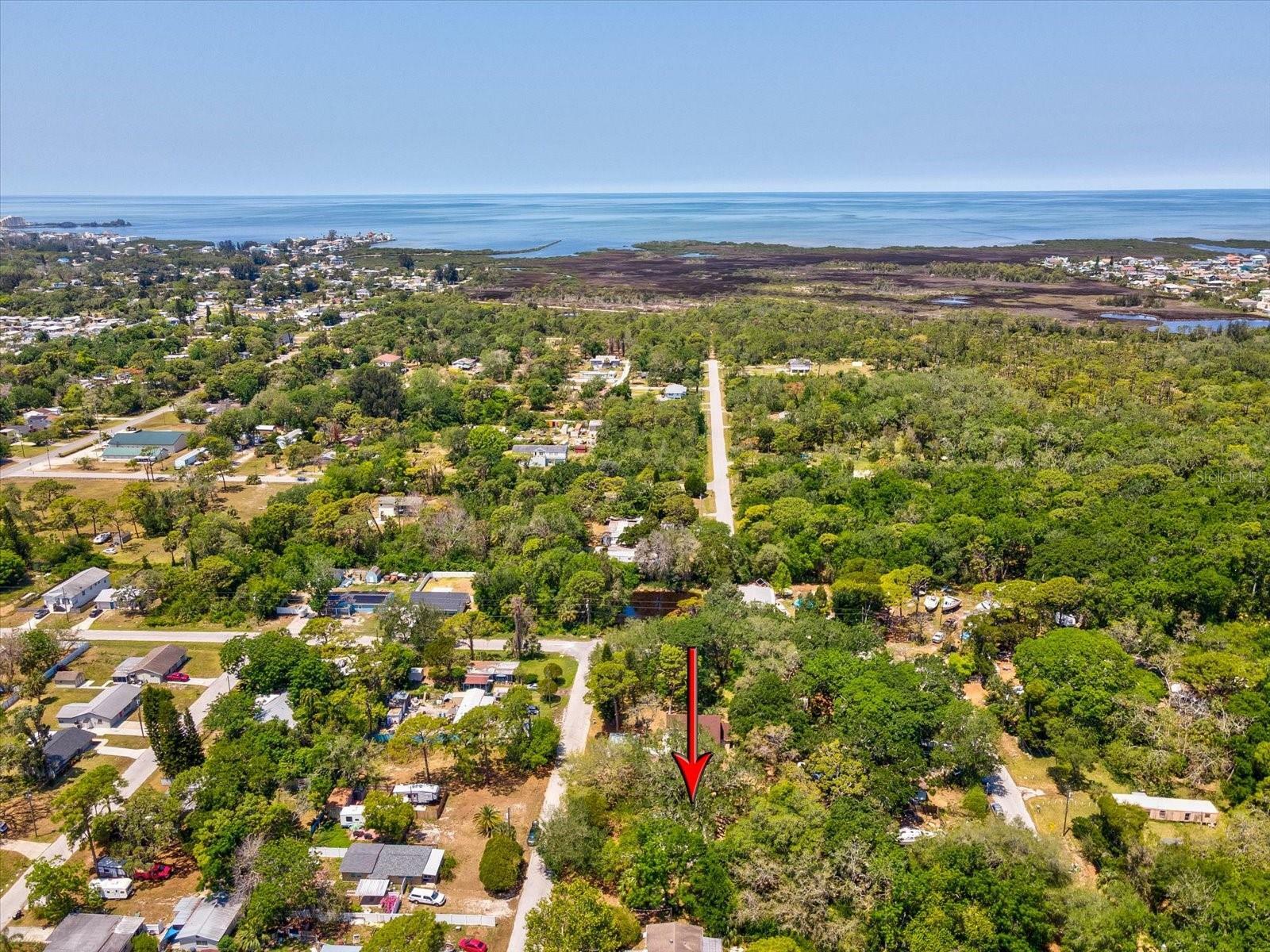 Property Photo: 7813 Cadillac Avenue FL 34667