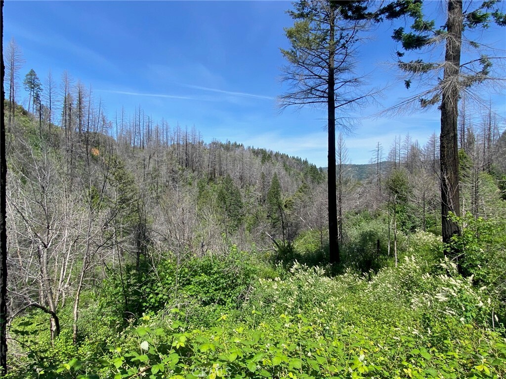 Property Photo: 582 Eden Canyon Road CA 95916