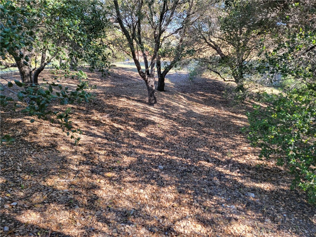 Property Photo: 28343 Foothill Drive CA 91301