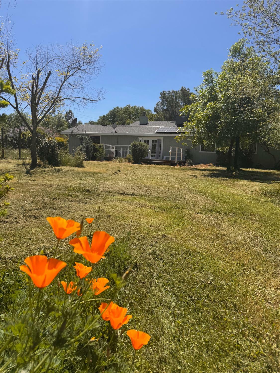 2594 Prado Vista Court  Placerville CA 95667 photo
