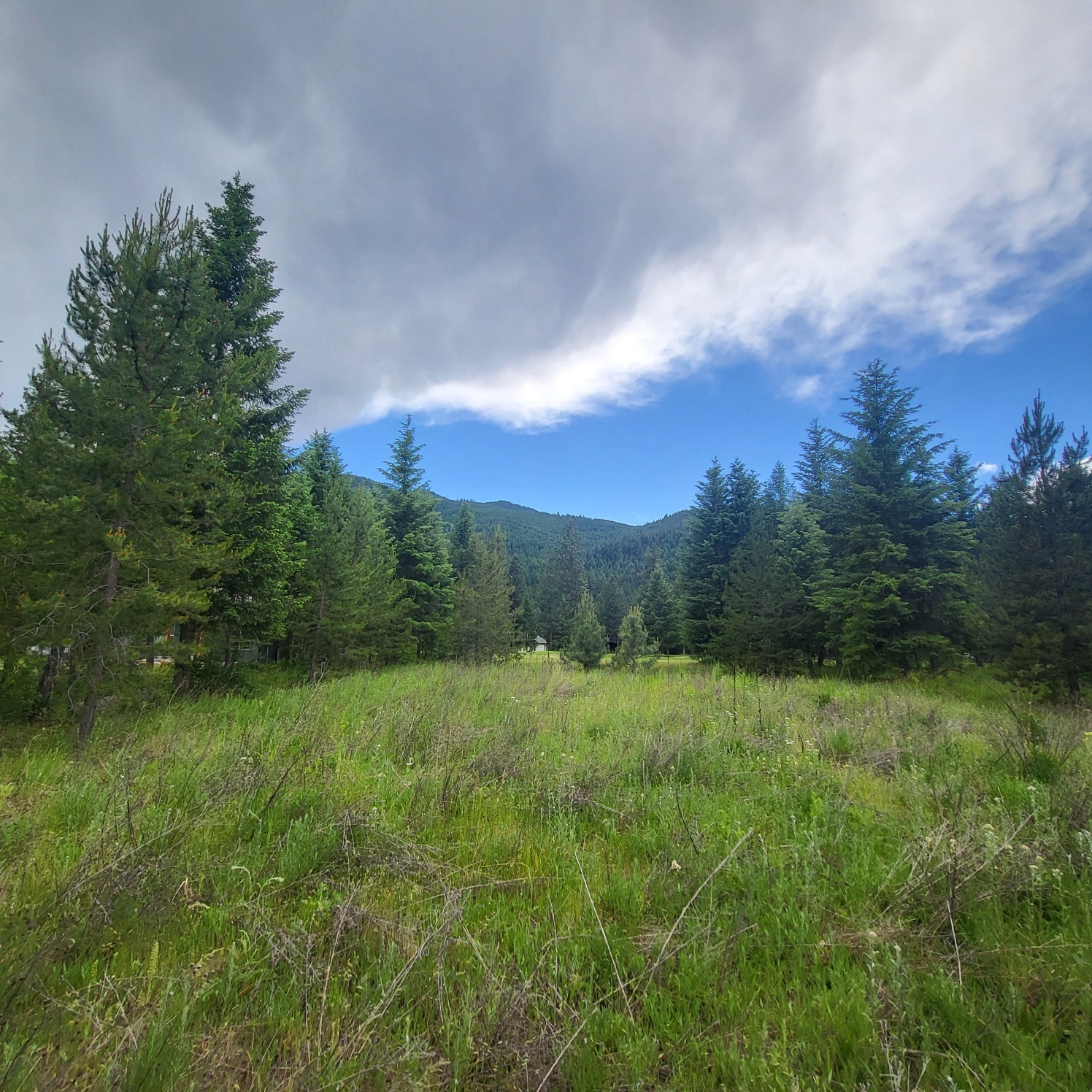 Property Photo: Nhn Fairview Drive MT 59866