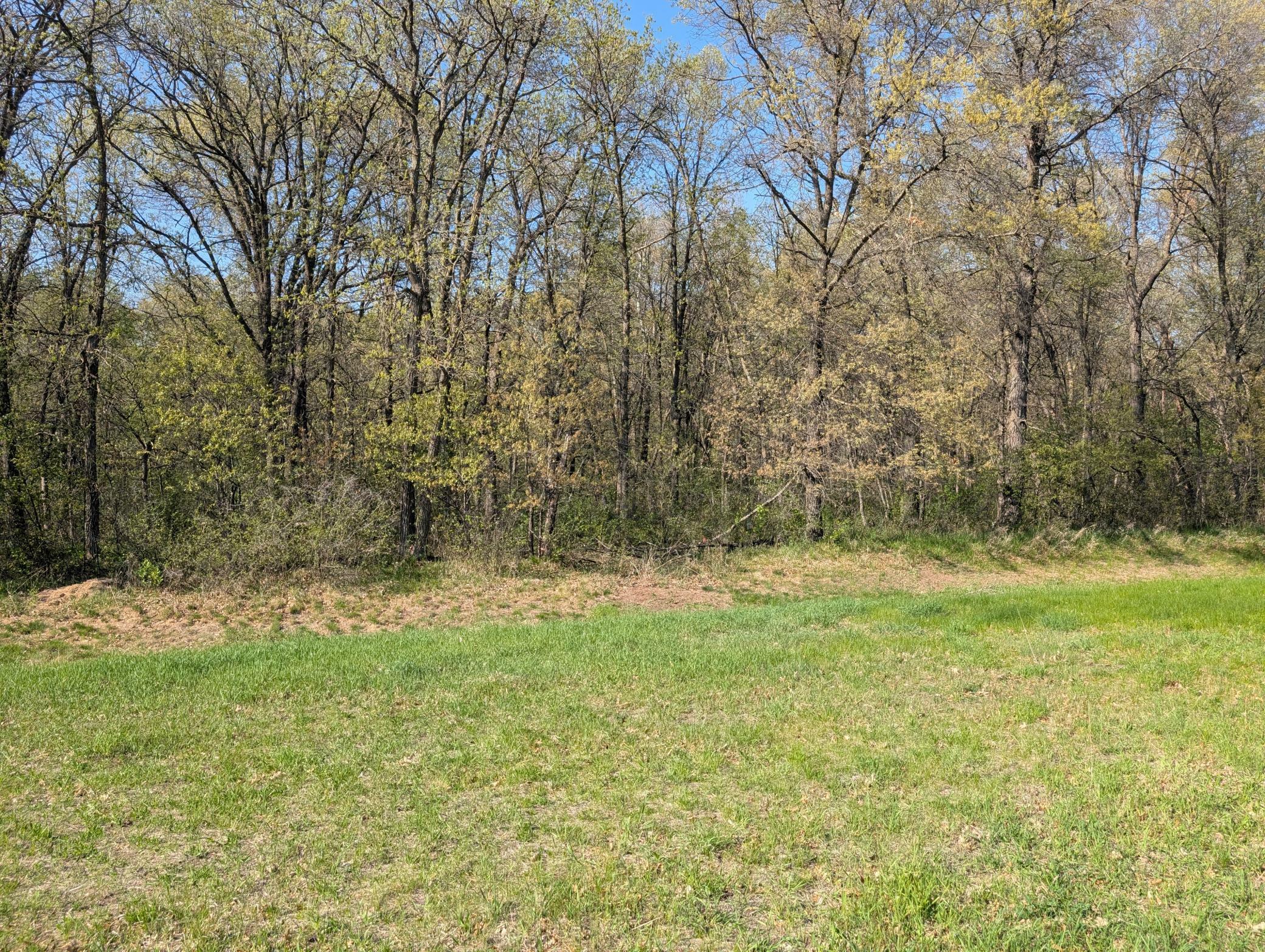 Property Photo: Tbd Arbor Lane SW MN 56473