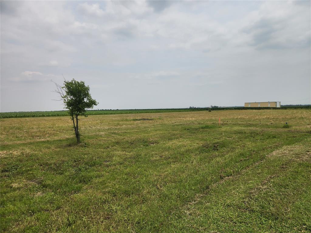 Property Photo: Tbd Old Blooming Grove Rd TX 76623