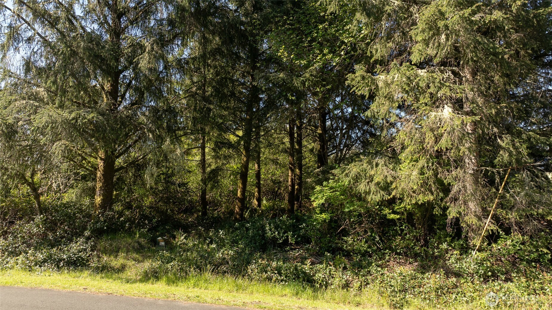 Property Photo: 893 Albion Avenue SE WA 98569