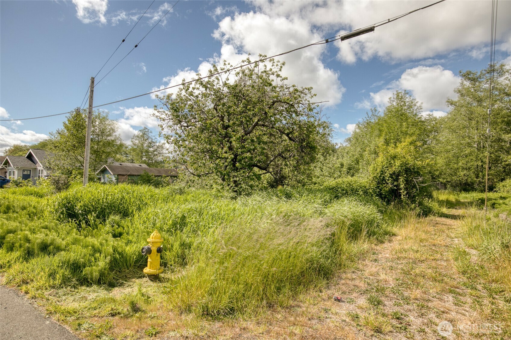 Property Photo: 430 E Curtis WA 98520