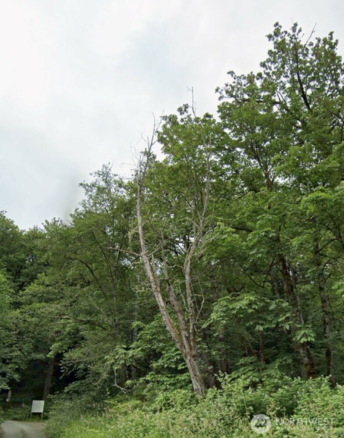 Property Photo: 8 Xx 201st Avenue SE WA 98075