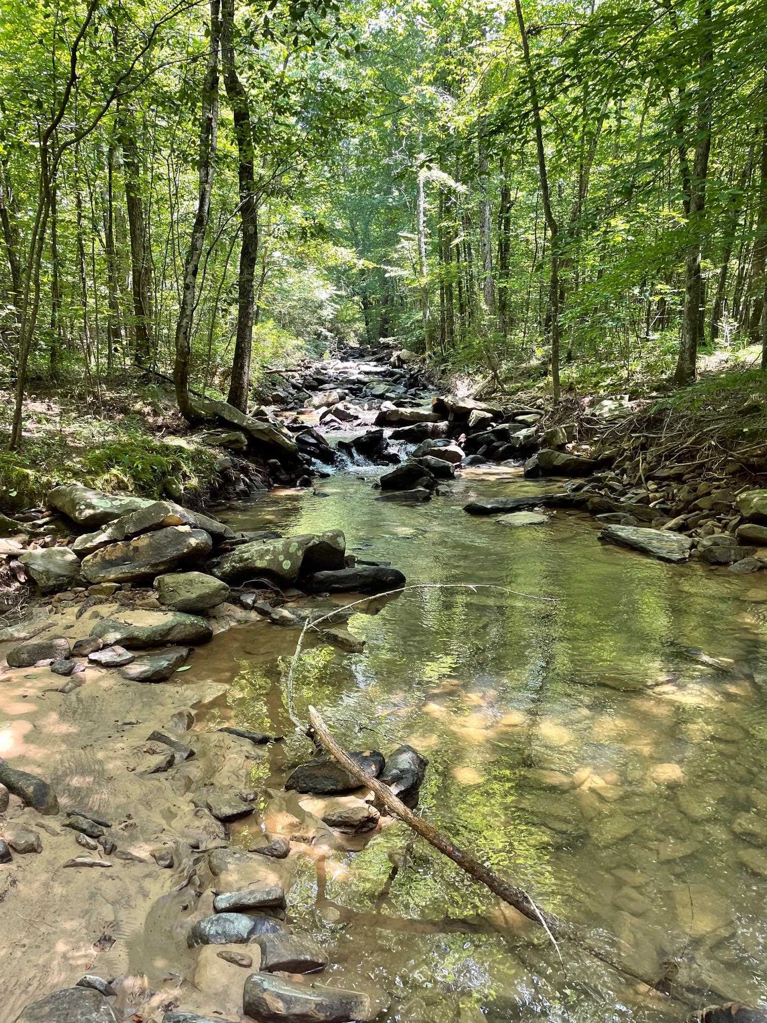 Property Photo: 1718 County Hwy 5 AL 35079 - HAYDEN