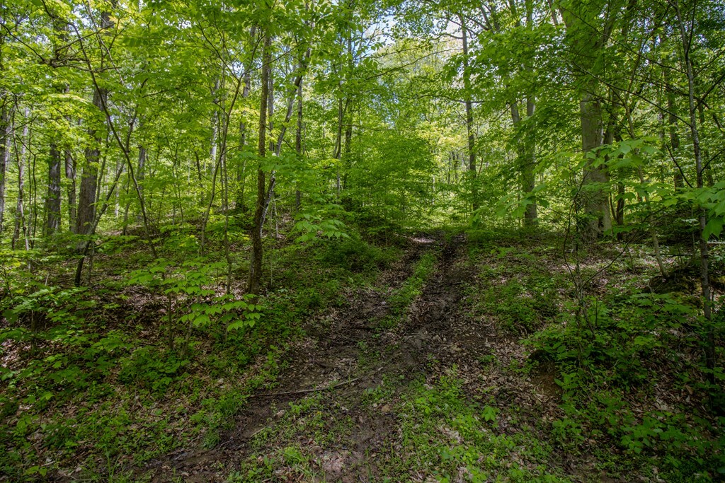 Property Photo: 0 Kinzer Road OH 45612