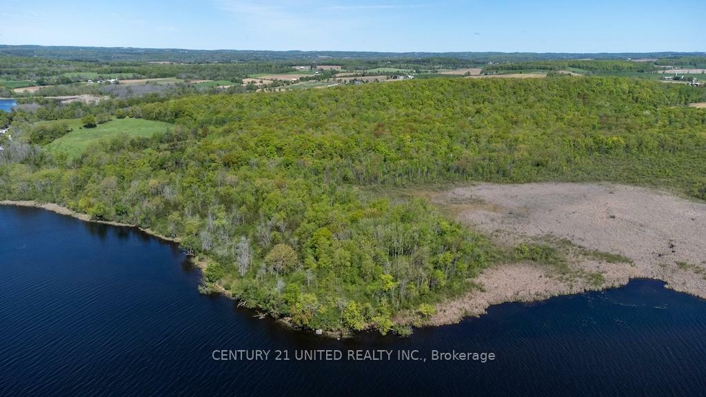 00 Hickory Bay Road  Trent Hills ON K0L 1L0 photo