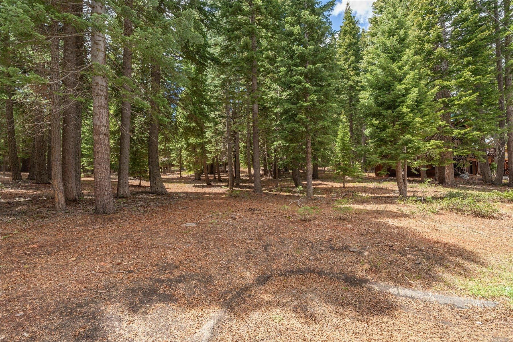 Property Photo: 11004 Innsbruck Avenue CA 96161-0000