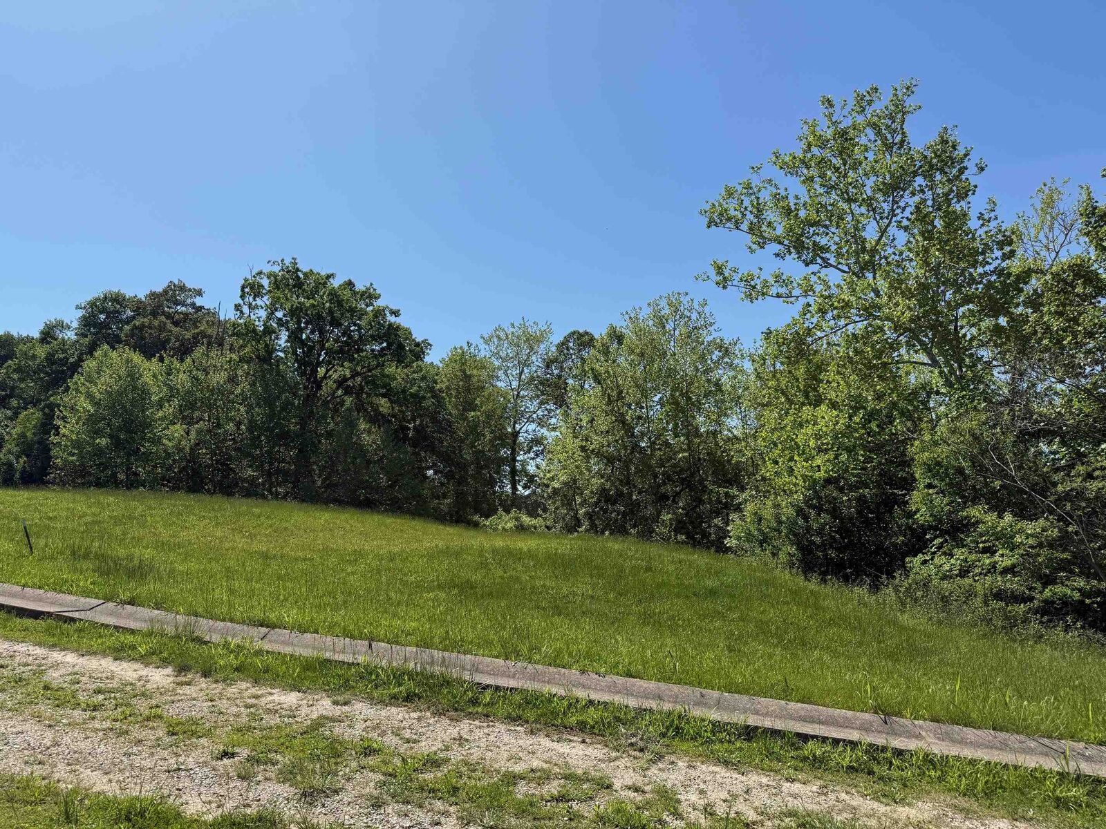 Property Photo:  Lot #14 Meadow Glen Road  KY 41139 