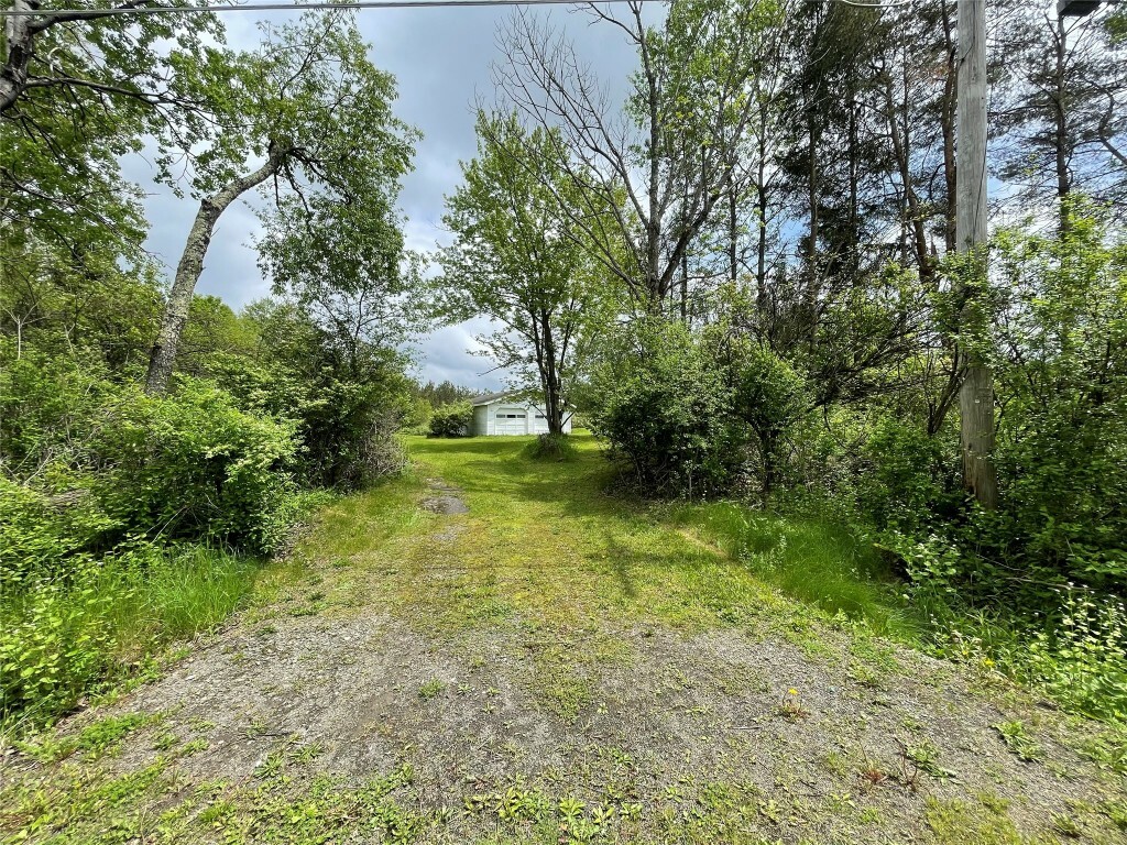 509 Anderson Hill Rd  Candor NY 13743 photo