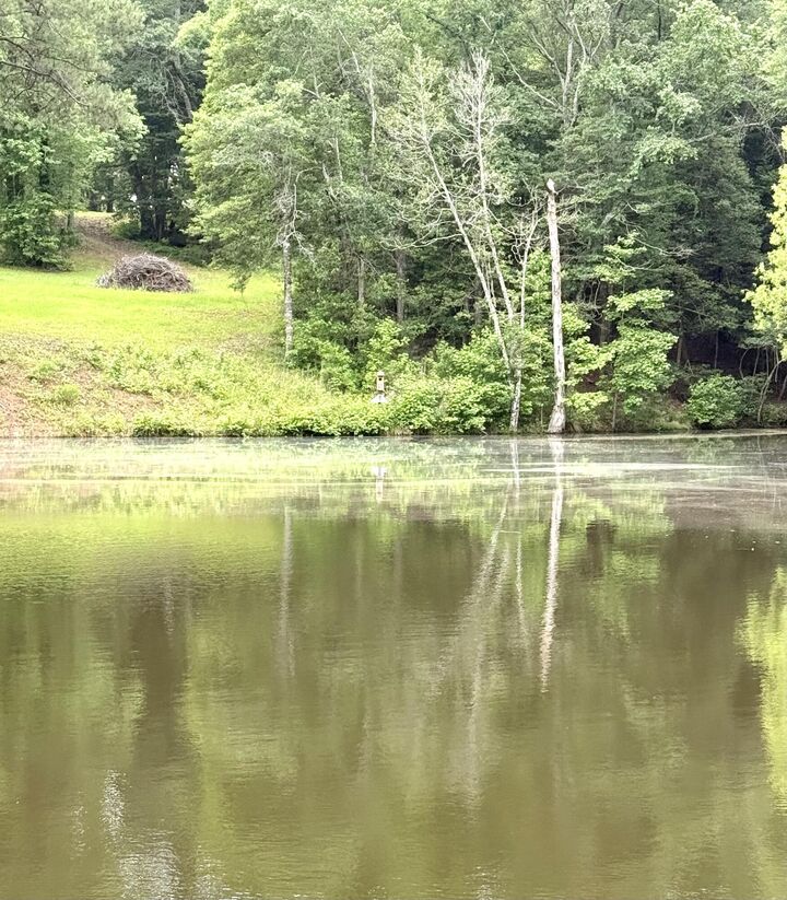 Property Photo:  Unknown  SC 29135 
