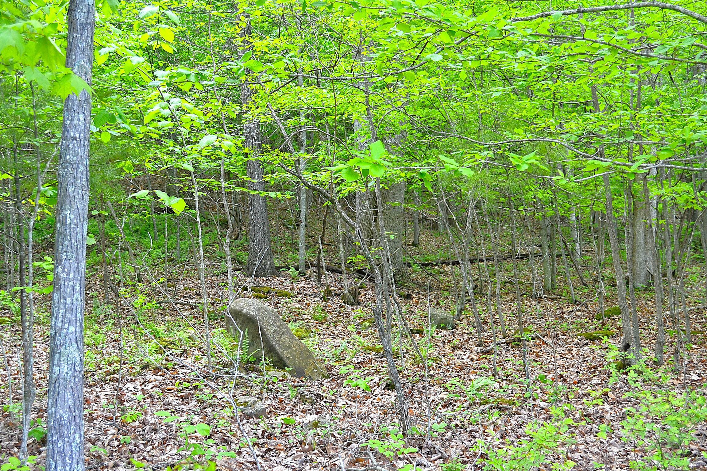 Property Photo: Germany Rd WV 24966