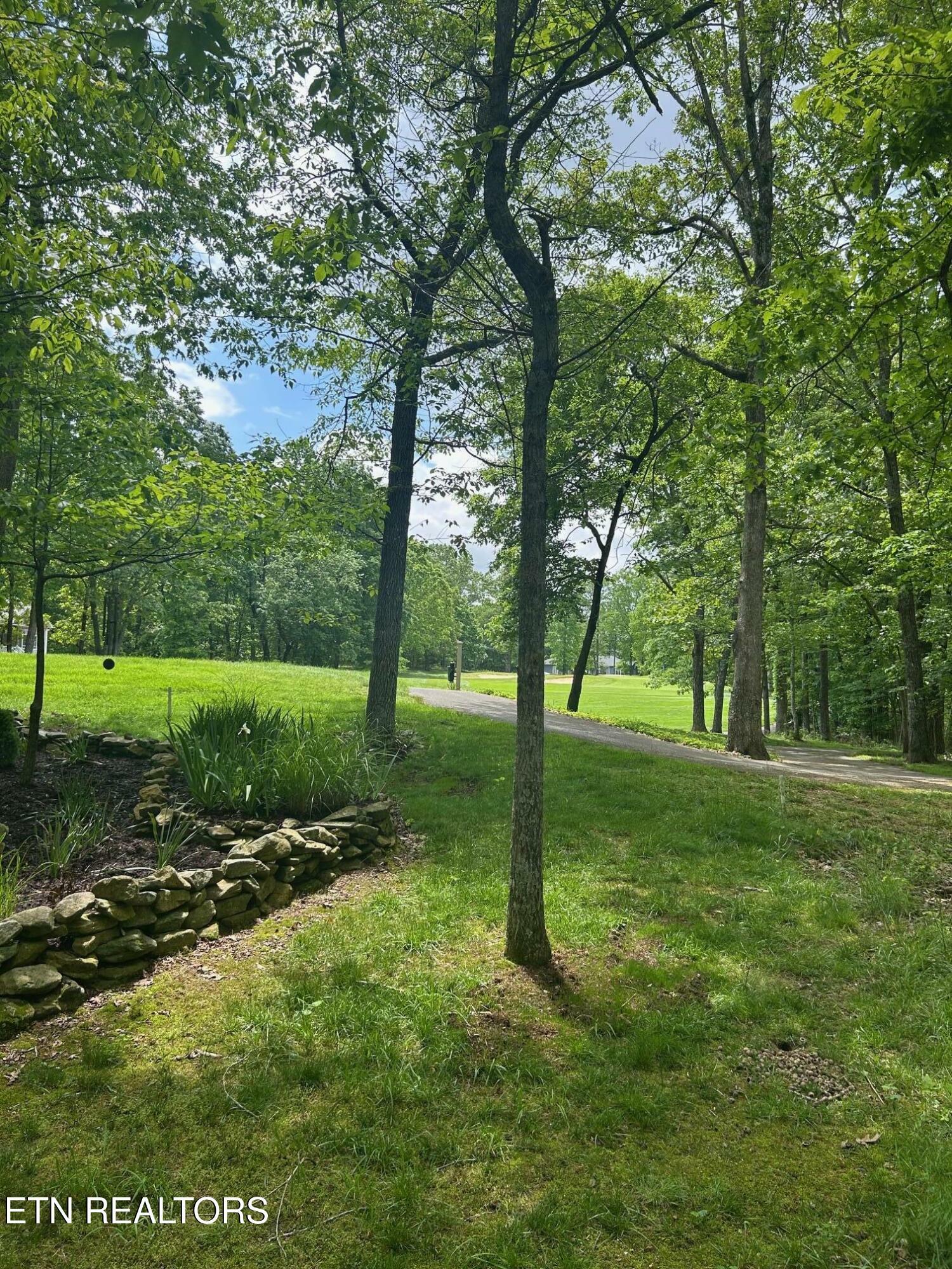 Property Photo: 186 Trentwood Drive TN 38558