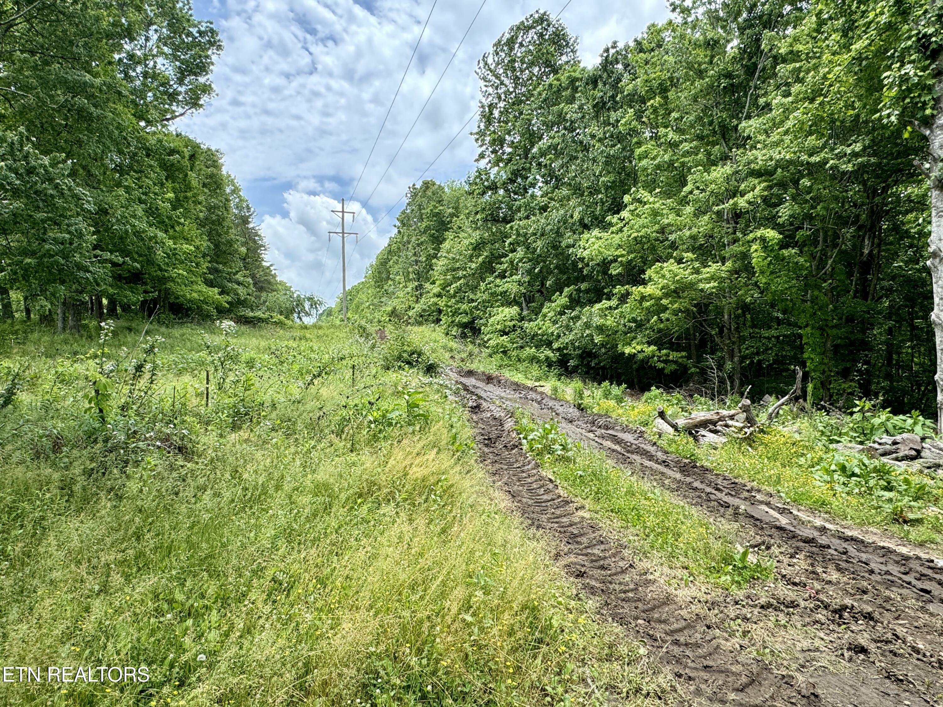 Property Photo: 688 Mayland Rd. TN 38571