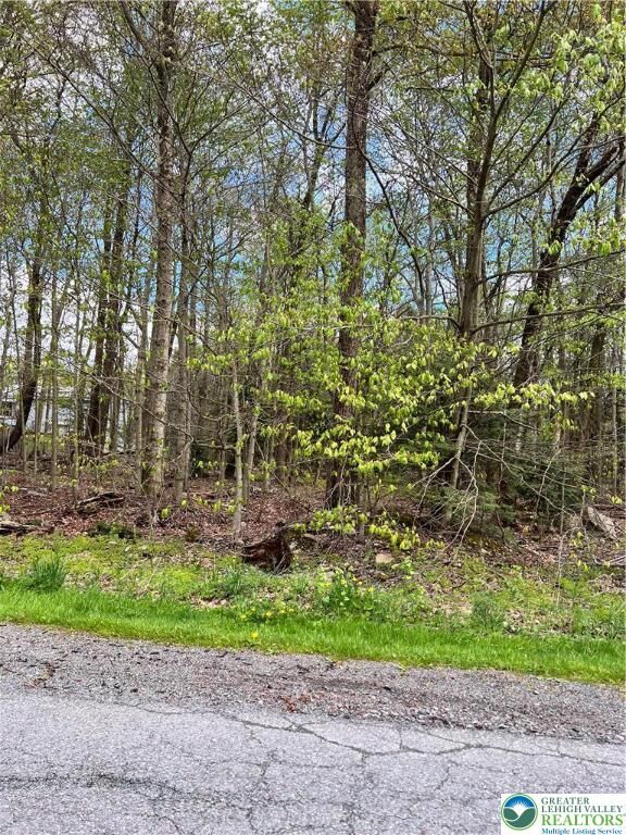 Property Photo:  151 Sitka Drive 410  PA 18347 