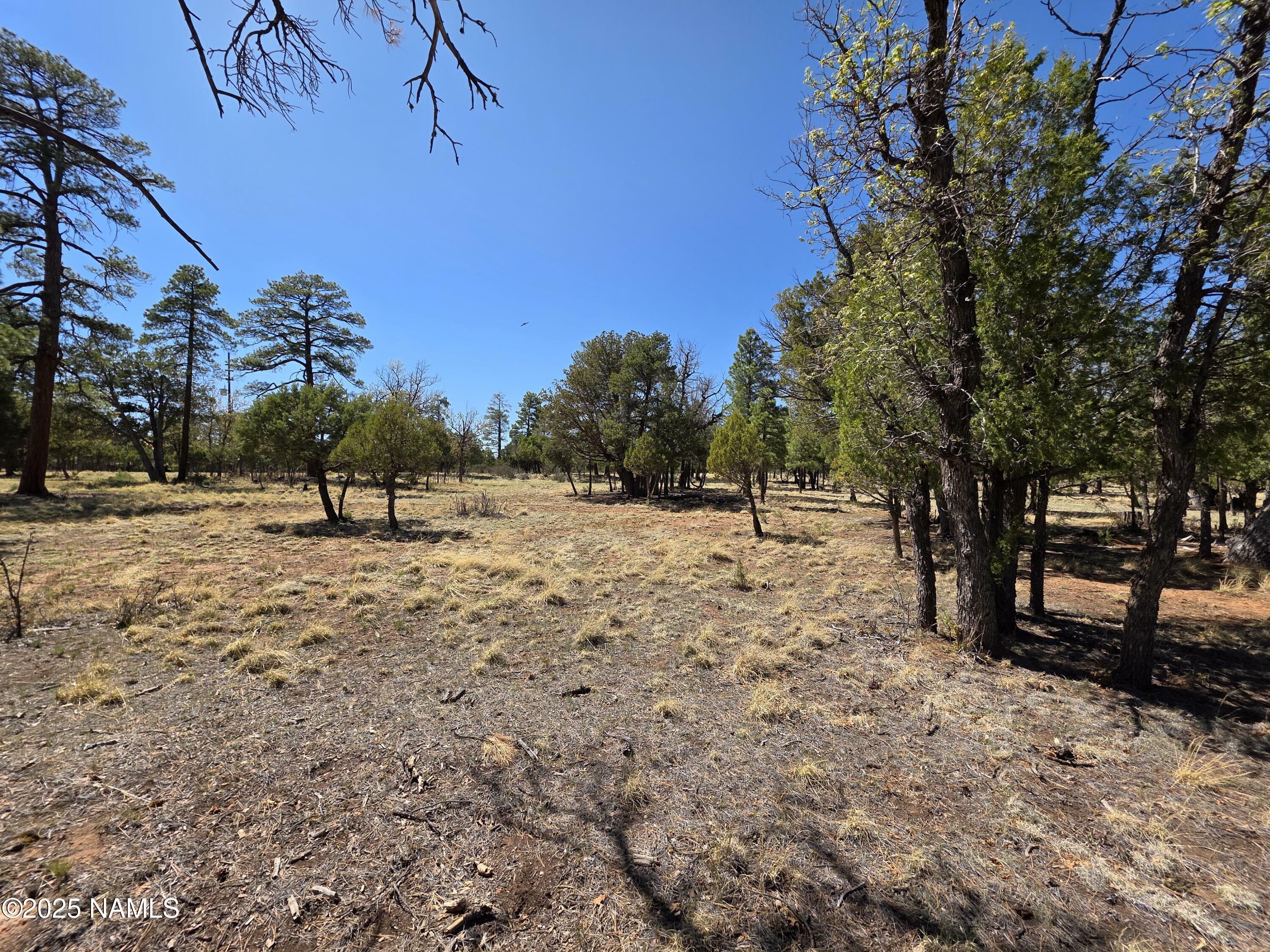 Property Photo:  3874 Durango Drive  AZ 86024 