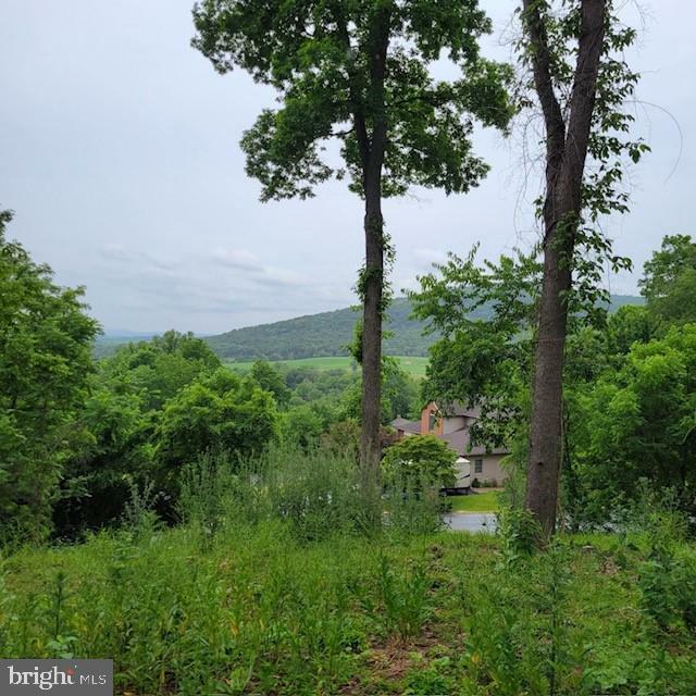Property Photo: 10952 Partridge Drive PA 17268