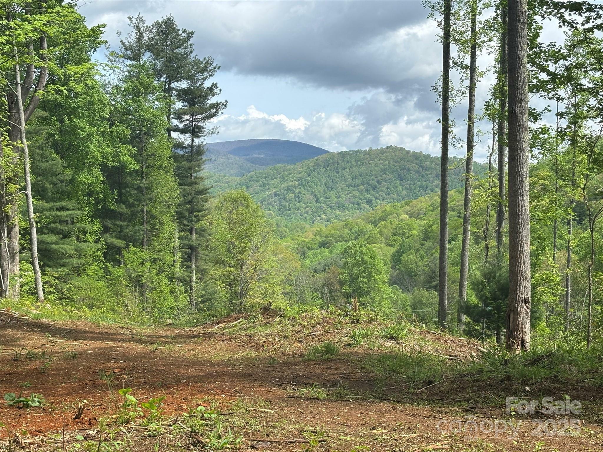 Property Photo: (SW Lot) Tbd Silas Branch Road NC 28714