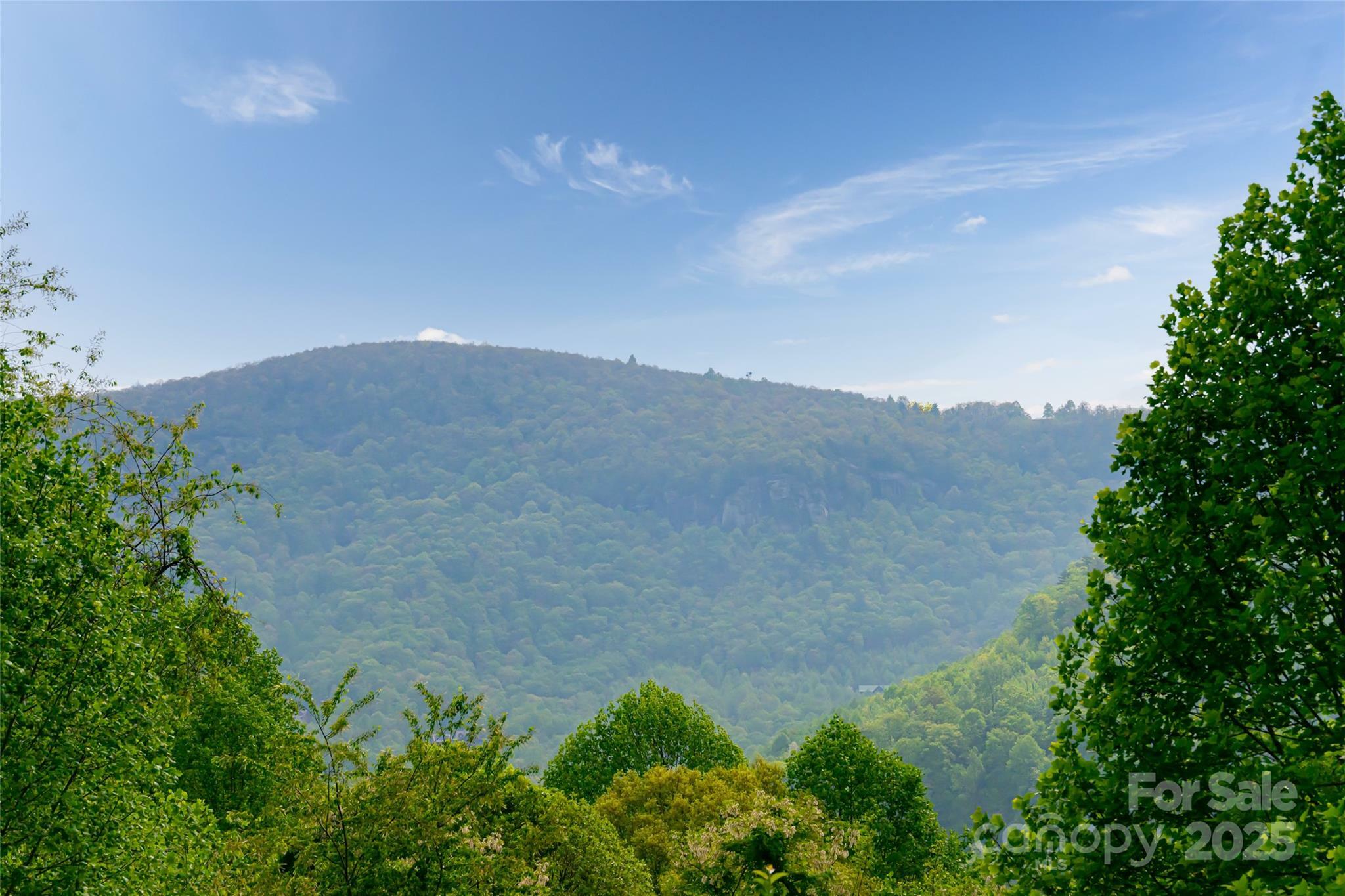 Property Photo: 3028 Timber Trails Trail NC 28792
