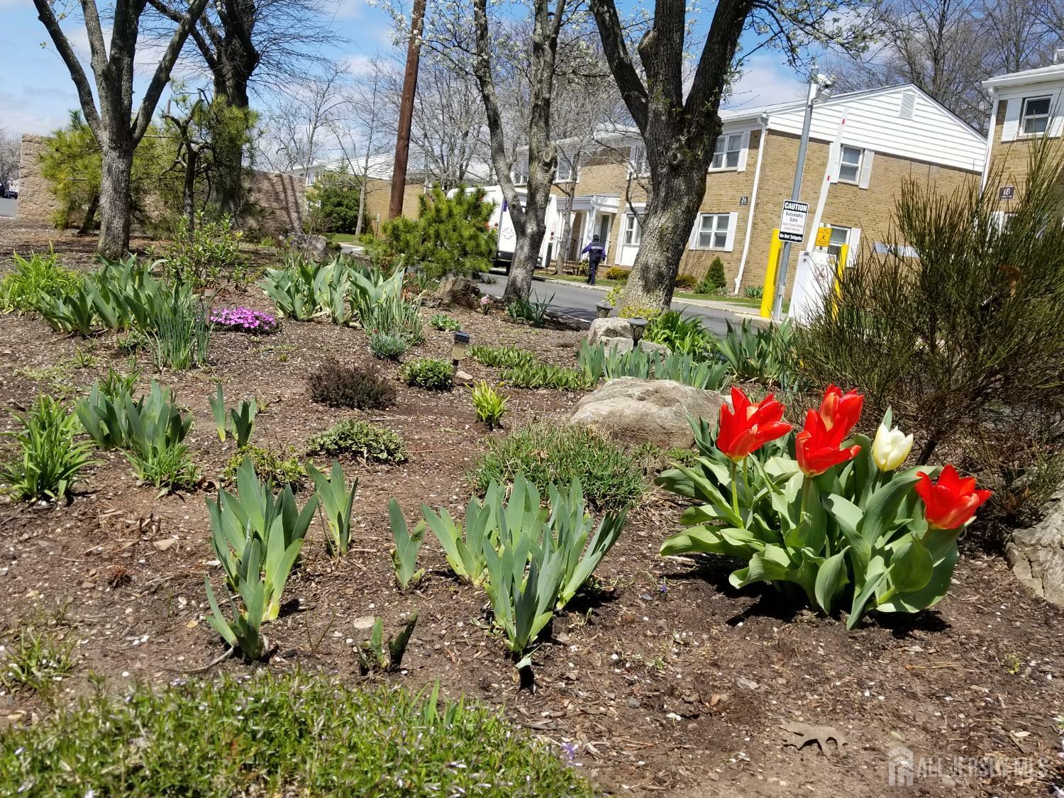 Property Photo: 160 Evergreen Road NJ 08837