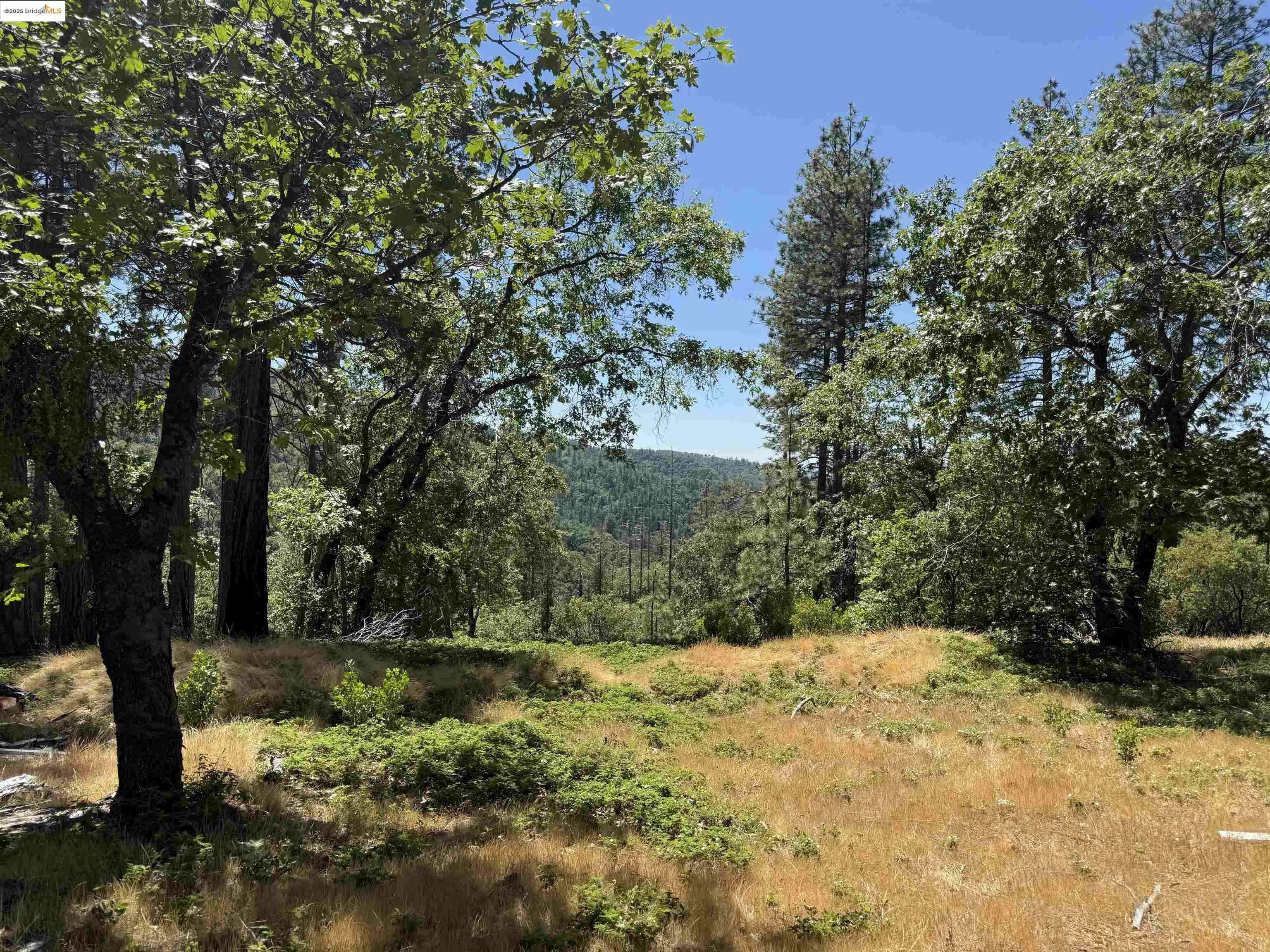 Property Photo: 0000 Forest Service Road 3N50 CA 95370