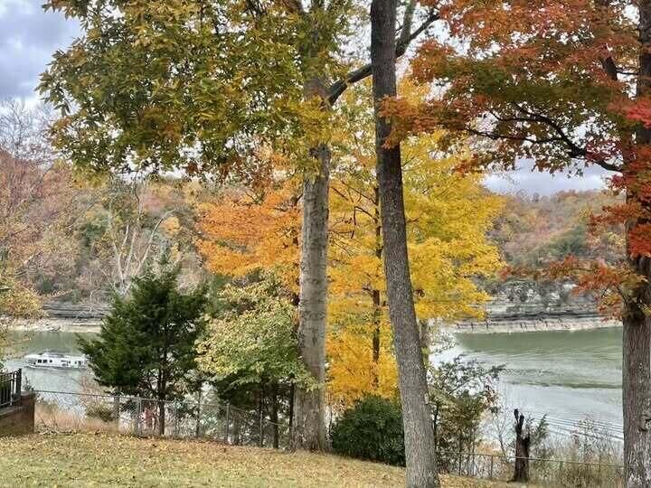 Property Photo: 512 Water Cliff Drive KY 42503