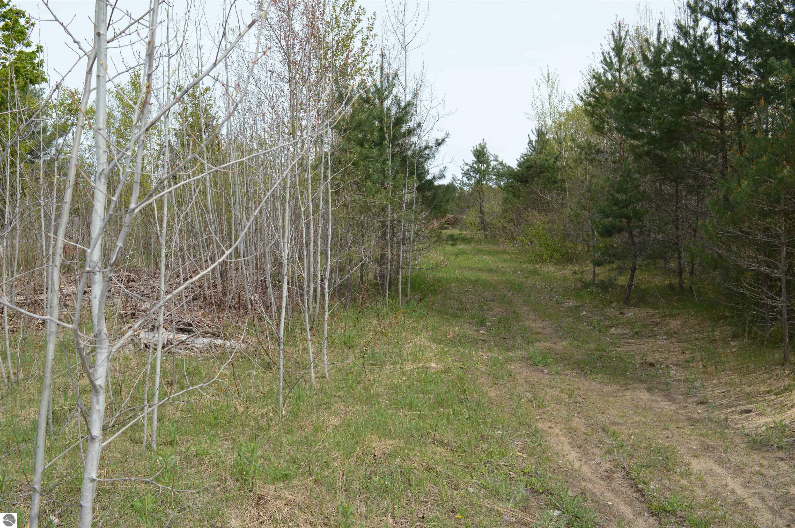 Property Photo: Spencer Road MI 49646