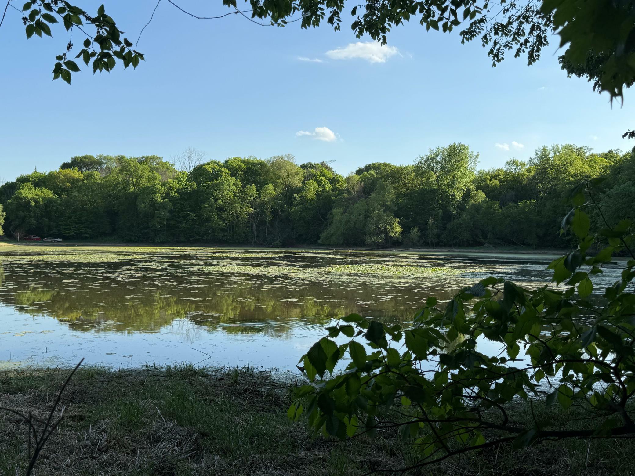 Property Photo: Xxxx Jalger Avenue SE MN 55313